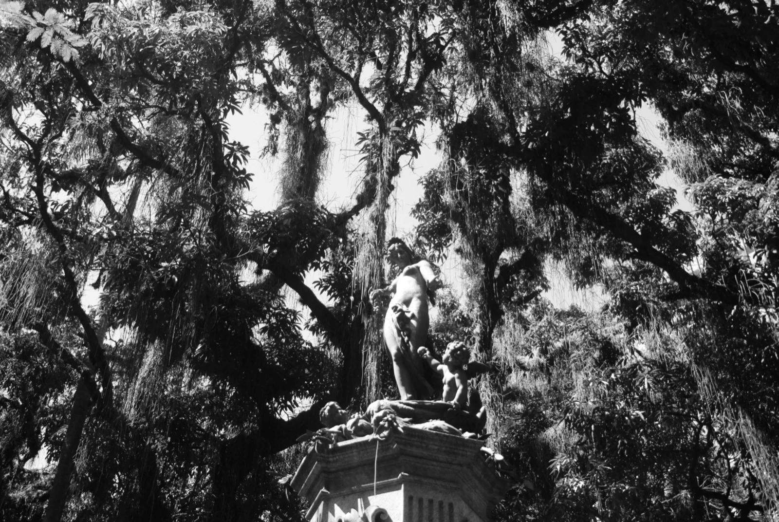 Estátua entre árvores com barba-de-velho, em preto e branco